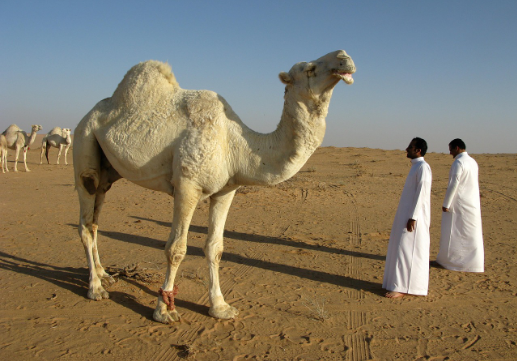 Bagaimana Persiapan Menjalani Ramadan sebagai TKI?